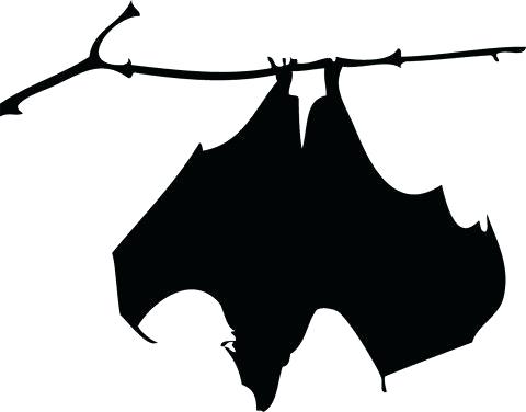 480x376 Hanging Bat Silhouette Ed