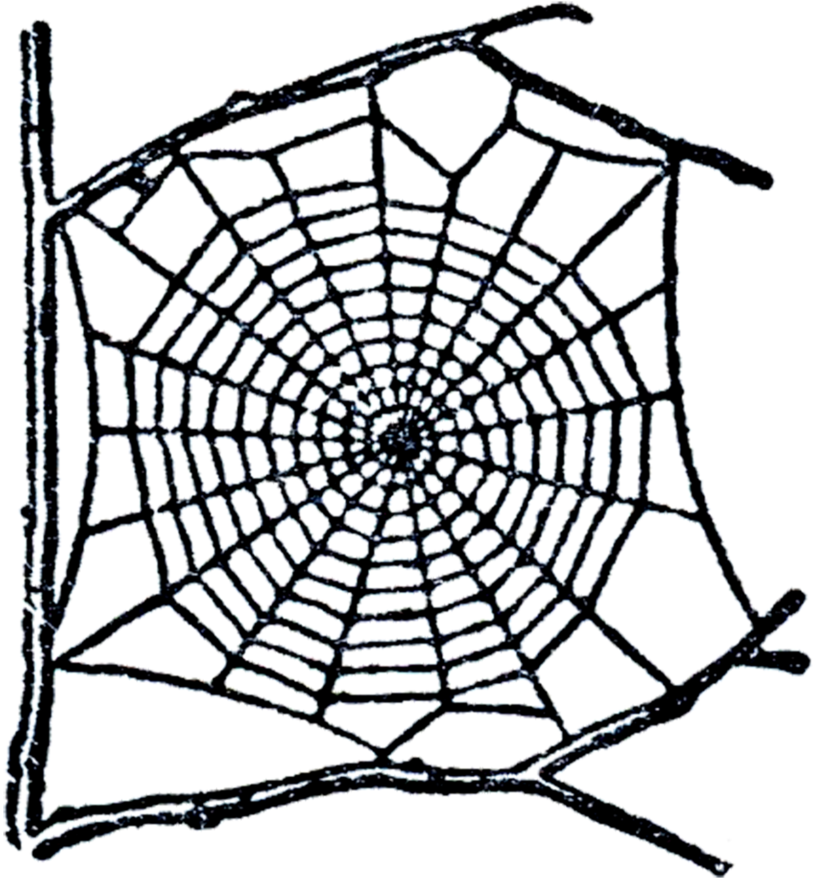 1660x1800 Free Spider Web Clip Art!