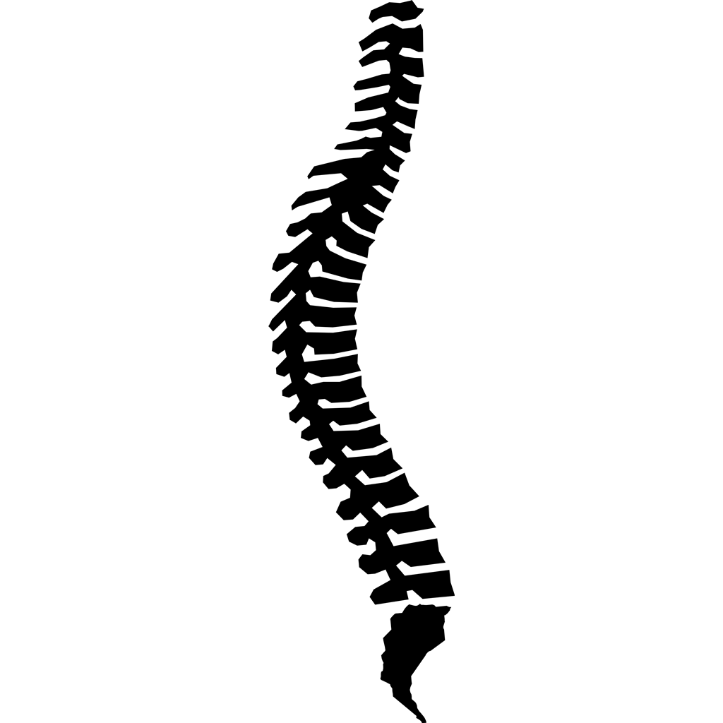 1024x1024 Pin By Lindsey G On Chiropractor Logos
