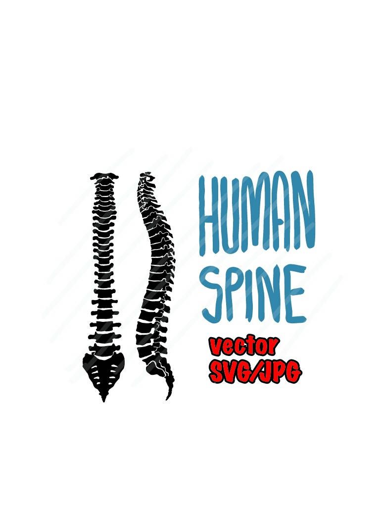 768x1024 Vectorsvgjpg Spine (Front And Side) Silhouette