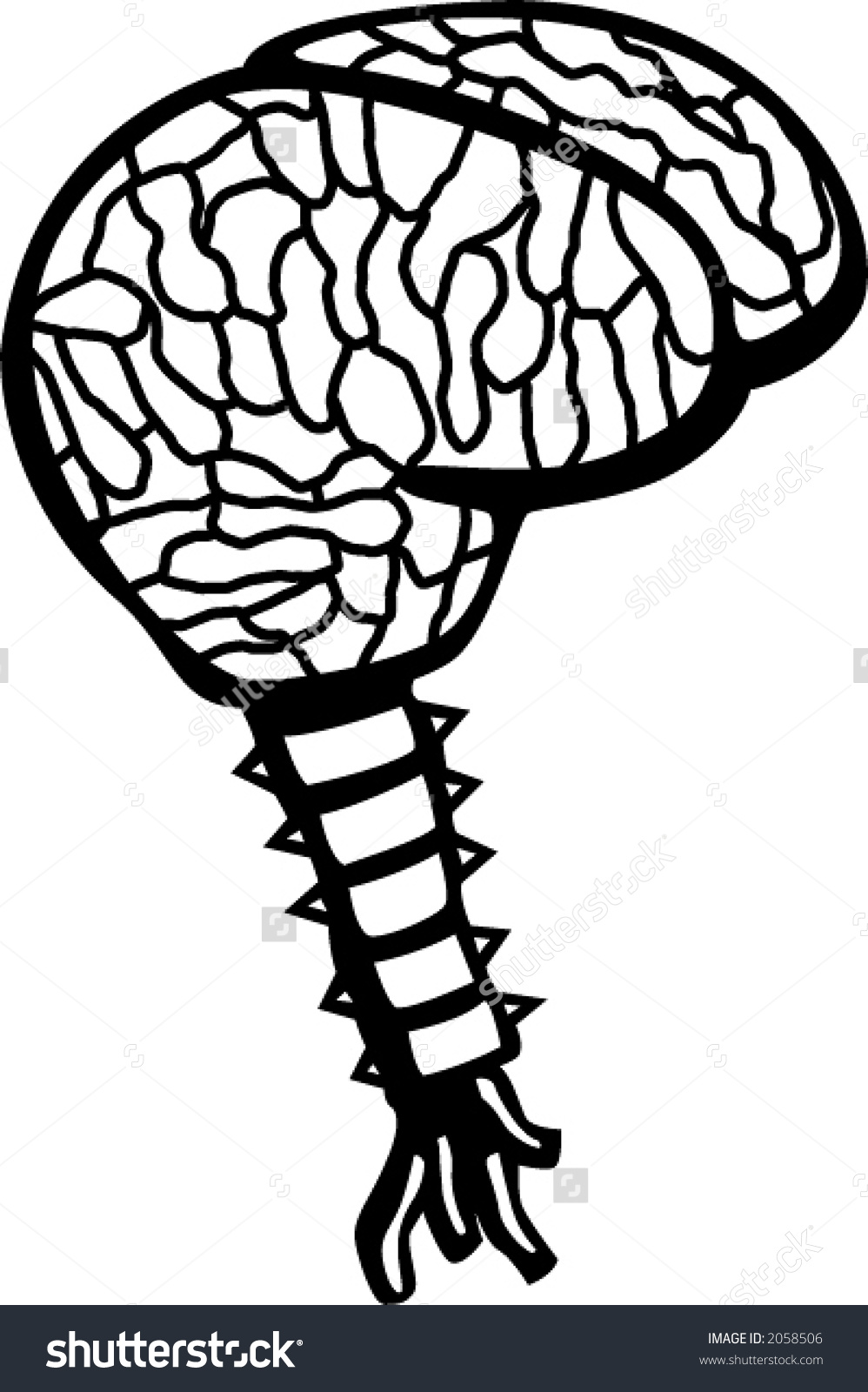 998x1600 Brain And Spinal Cord Clipart