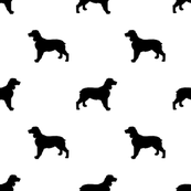 173x173 English Springer Spaniel Silhouette