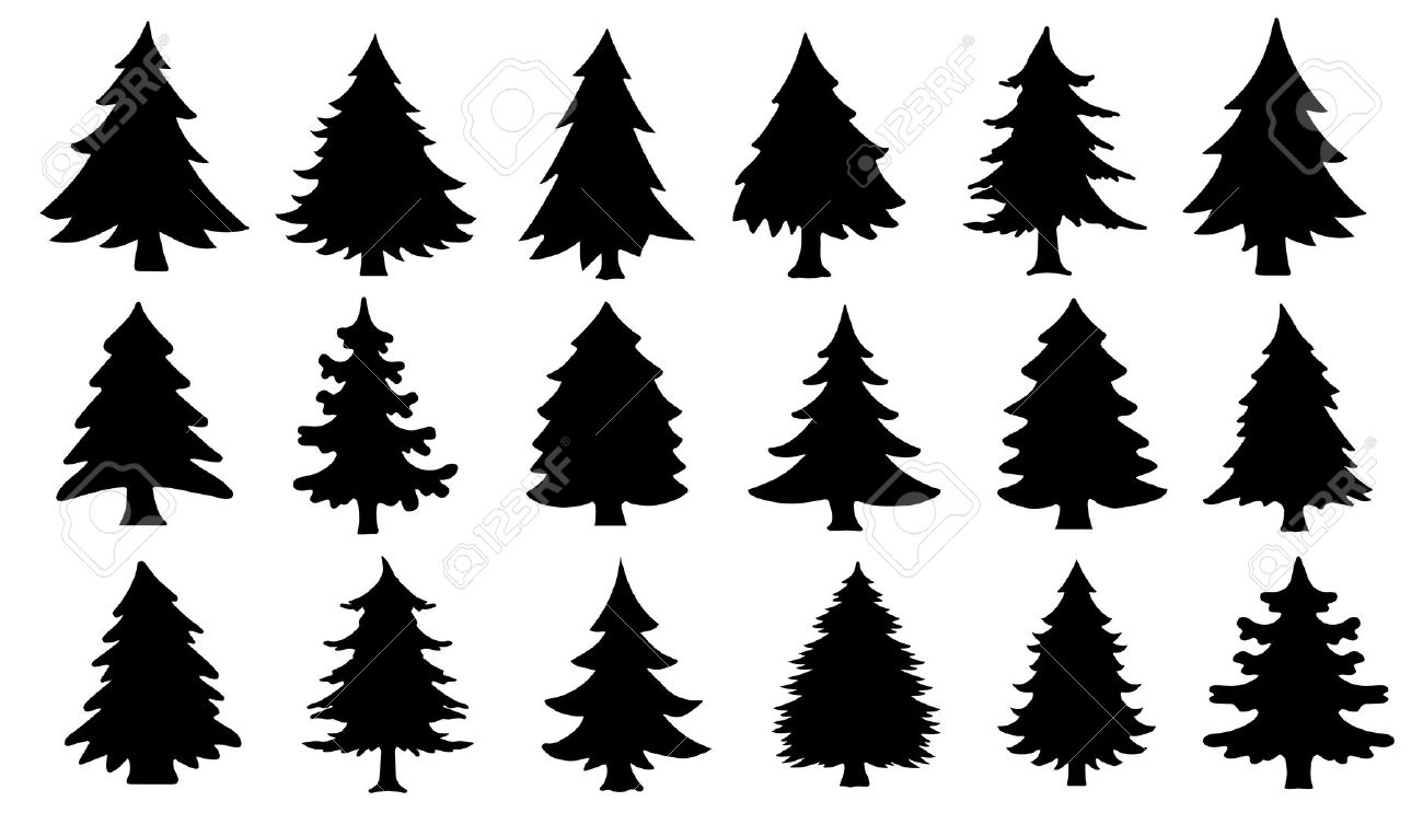 1300x743 Pine Tree Clipart