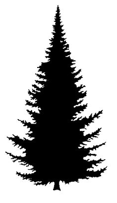 236x409 Pine Tree Silhouette