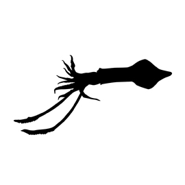 270x270 Giant Squid Silhouette Stencil Free Stencil Gallery