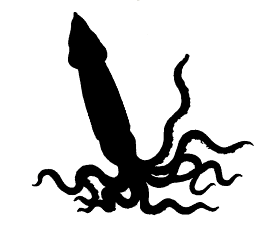 894x770 Squid Silhouette Clipart Panda