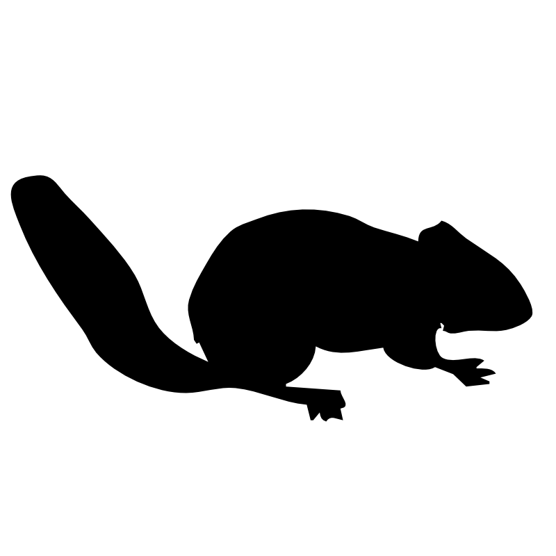 800x800 Squirrel Silhouette Clip Art