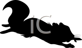 350x204 Animal Silhouette Of A Flying Squirrel