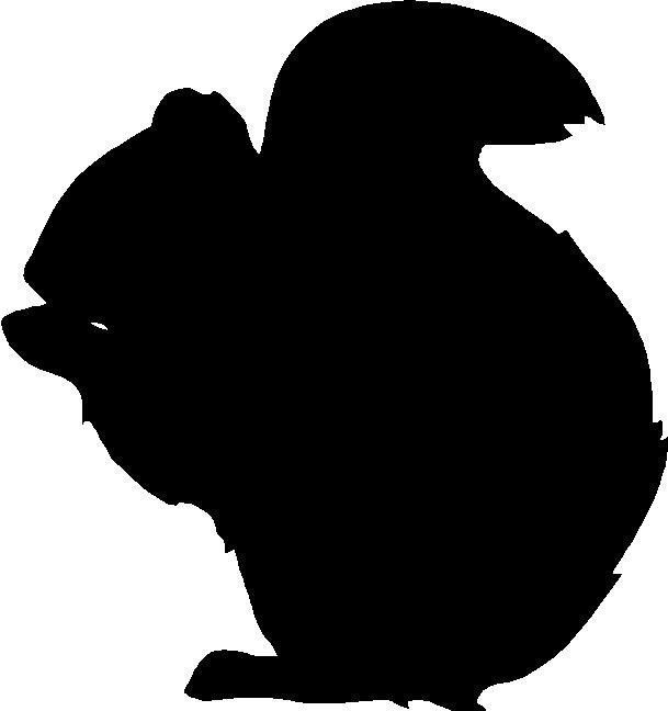 609x648 Silhouette Squirrel