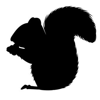 340x340 Free Silhouettes Squirrel