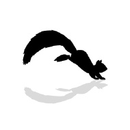 190x190 Squirrel Running Clipart