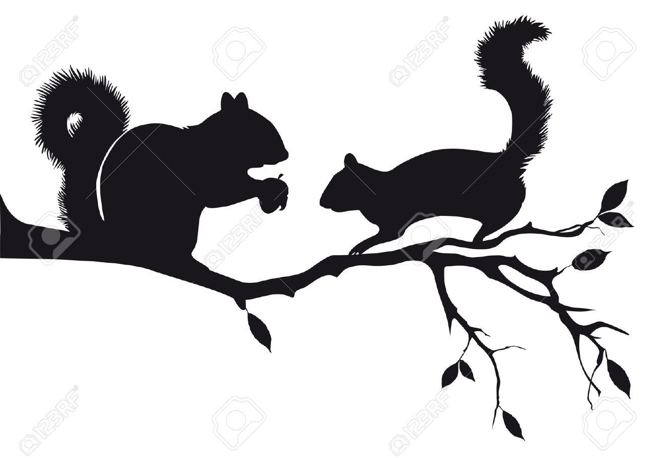 1300x910 Squirrel Stock Illustrations, Cliparts And Royalty Free Squirrel