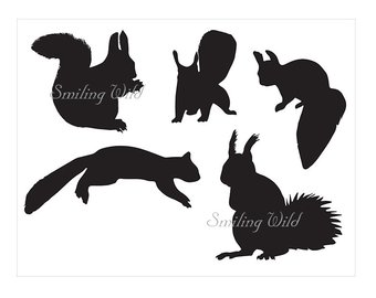 340x270 Squirrel Clipart Etsy