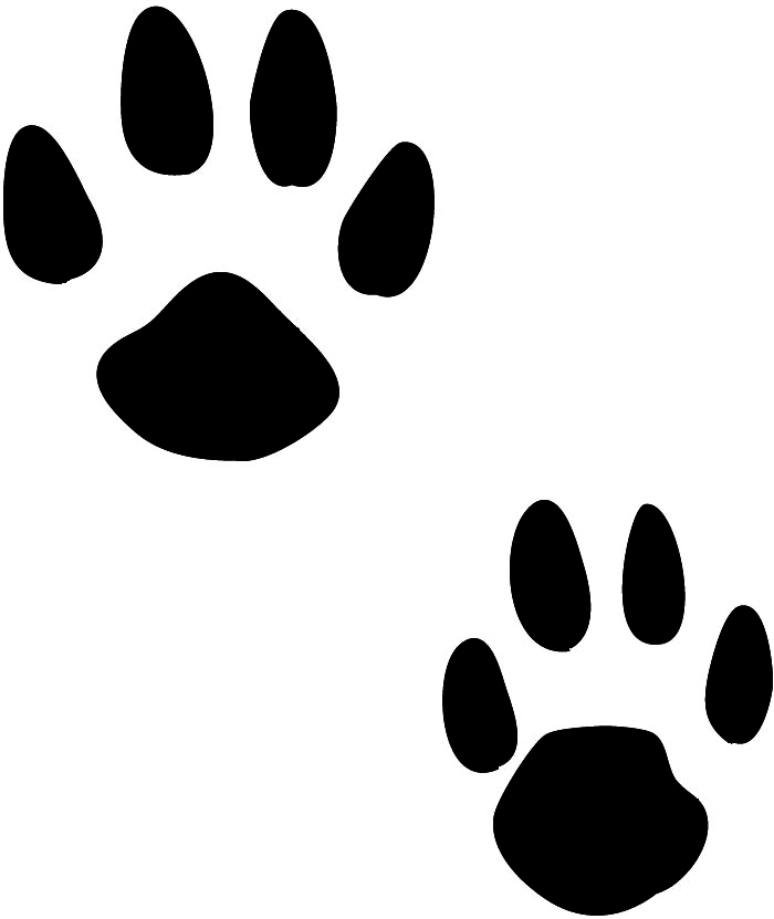 700x831 Squirrel Clipart Footprint