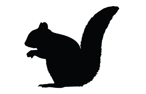 480x309 Squirrel Silhouette Vector Silhouettes Vector