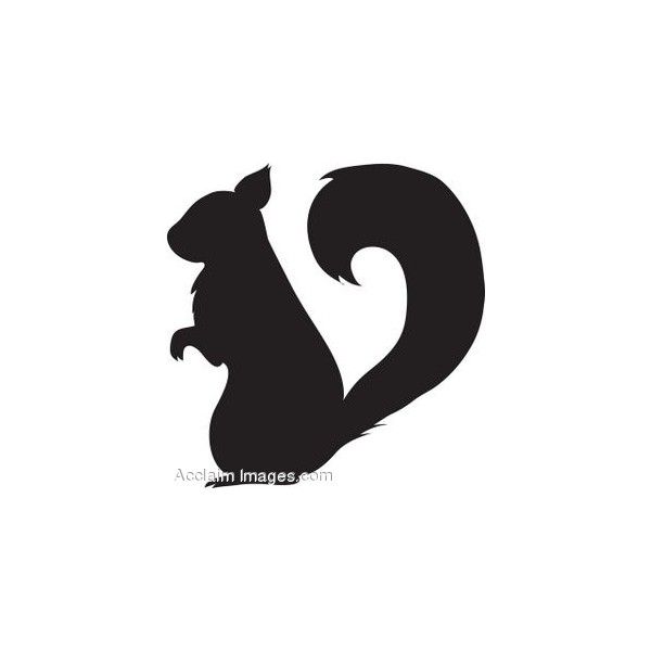 600x600 Clip Art Of A Squirrel Silhouette