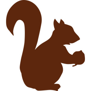 300x300 Silhouette Design Store