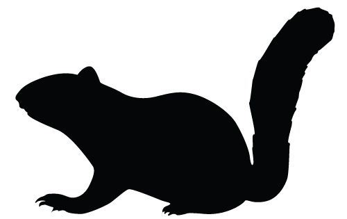 500x315 Squirrel Silhouette Vector Download Silhouette Graphics Animal