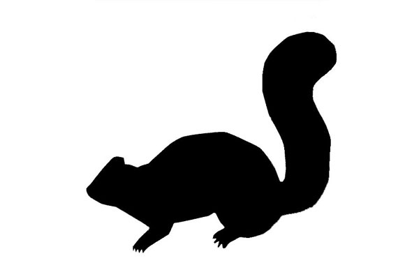600x400 Red Squirrel Clipart Silhouette 3847349