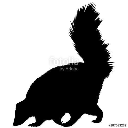 500x500 Skunk Silhouette Vector Graphics Stock Image And Royalty Free
