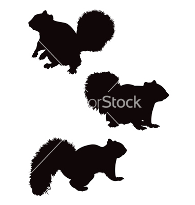 380x400 Squirrel Silhouettes Vector By Jrmurray76
