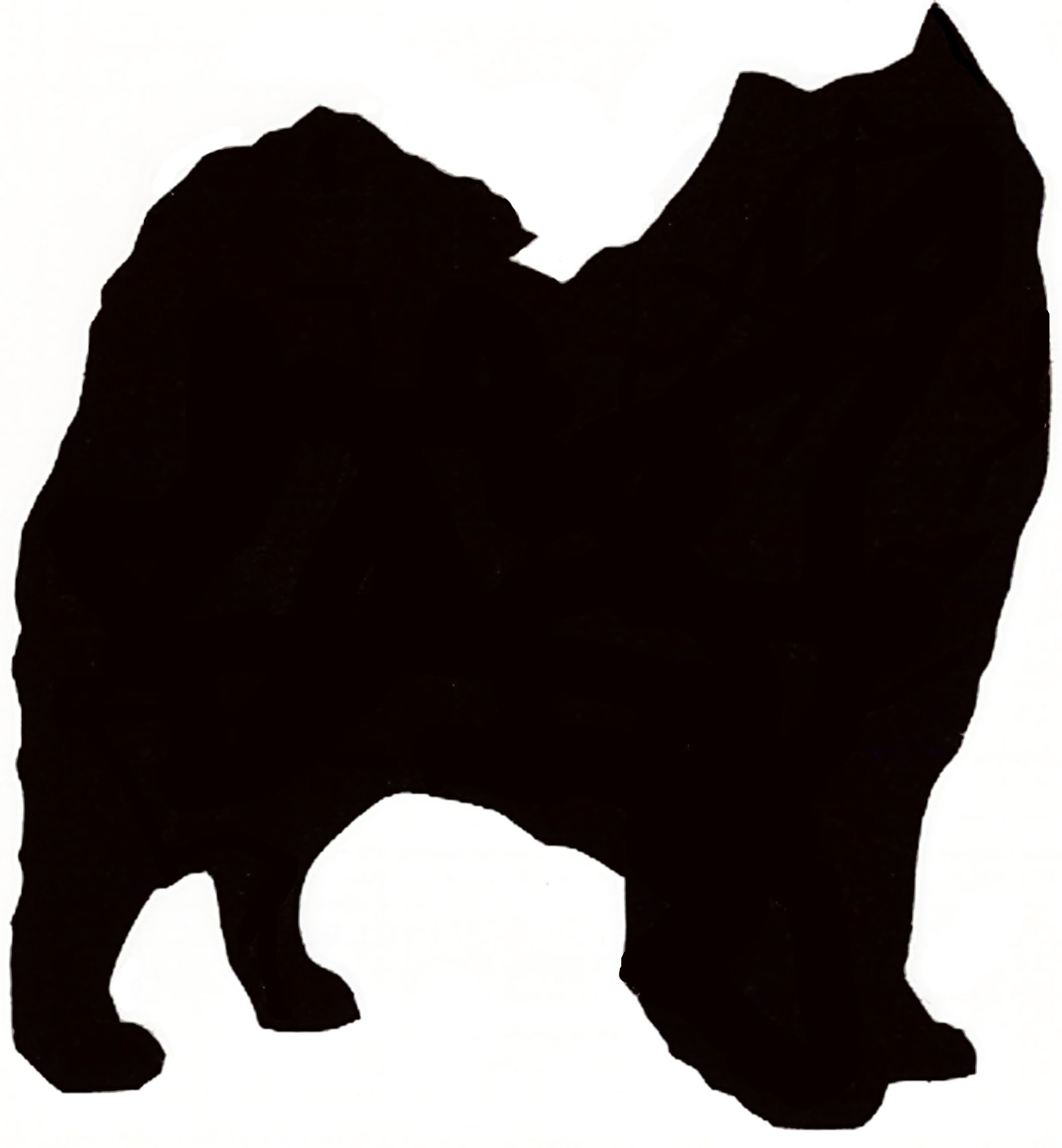 1600x1729 Norwich Terrier