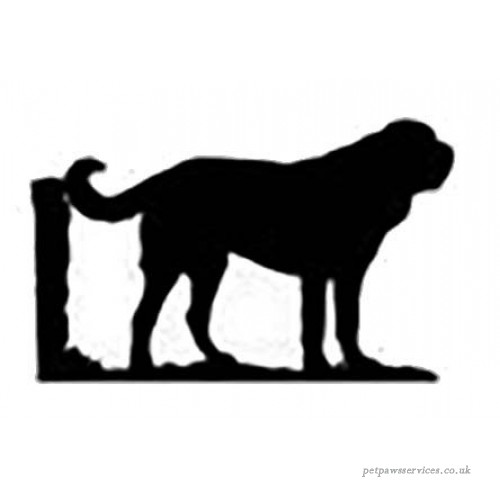 500x500 Saint Bernard Dog Lovers Gift