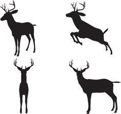 236x223 Image Result For Herd Of Stag Silhouette Type