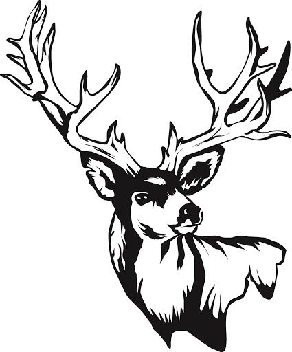 425x512 Deer%20skull%20drawing Deer Pics Cricut