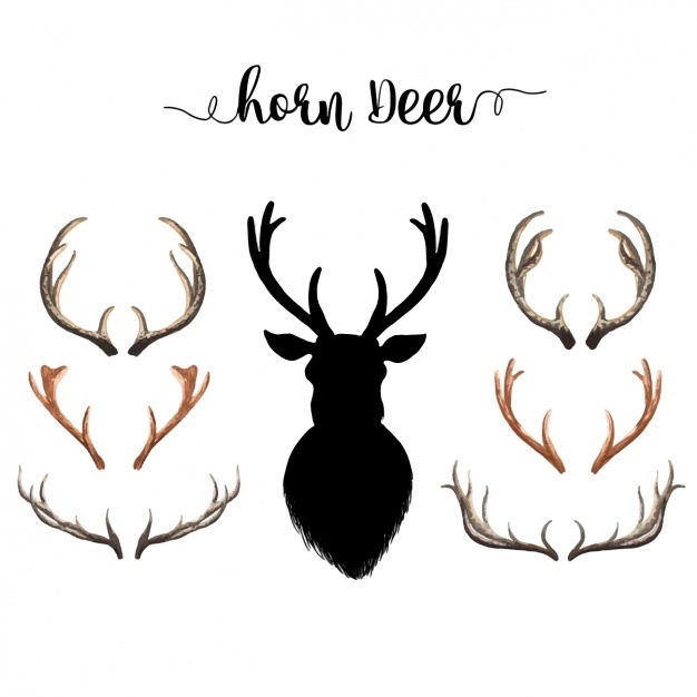 626x626 Deer Vectors, Photos And Psd Files Free Download