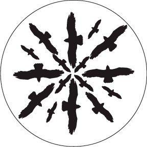 288x288 Rosco 82817 Circling Birds Silhouette 2 Bampw Glass Pattern Stage