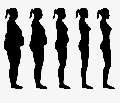 400x341 The Five Stages Of Thin Woman Conceptual Diagram, Woman, Slimming