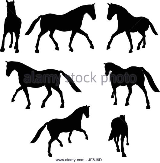 530x540 Horse And Cart Cut Out Stock Images Amp Pictures