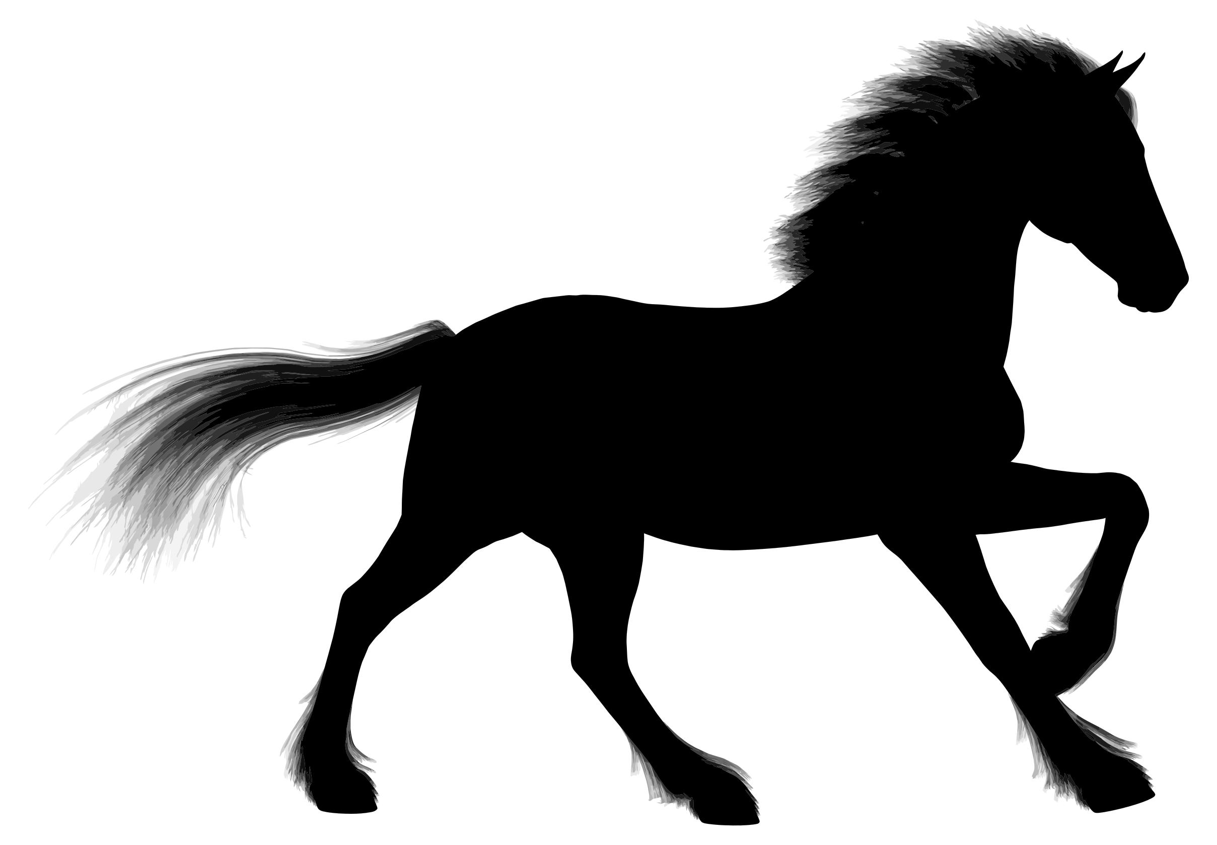 2417x1678 Majestic Stallion Silhouette Clipart