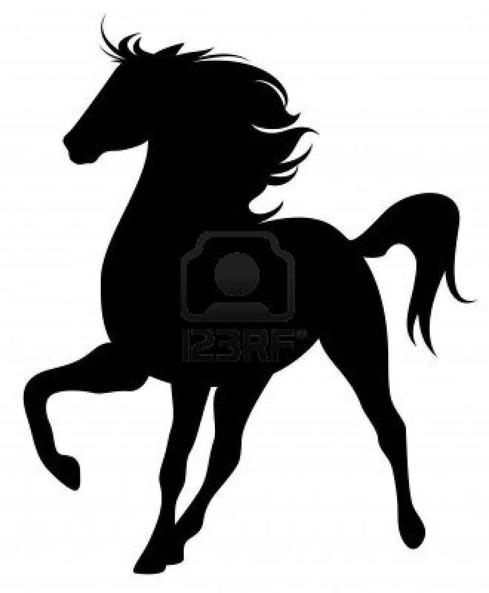 990x1200 Purebred Stallion Fine Vector Silhouette