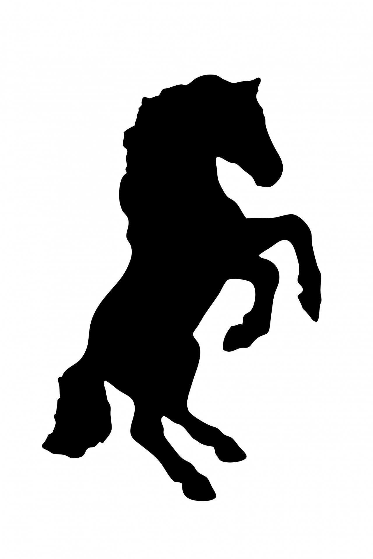 1280x1920 Rearing Black Horse Silhouette Free Stock Photo
