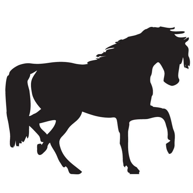 660x660 Stallion Silhouette