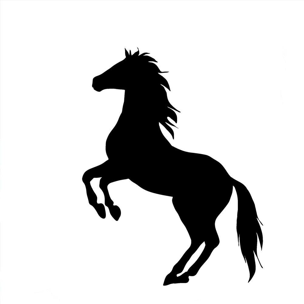1001x1001 Horse Silhouette Country Vinyl Sticker Car Decal