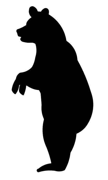 448x750 Image Result For Standing Bear Images Oz Bear
