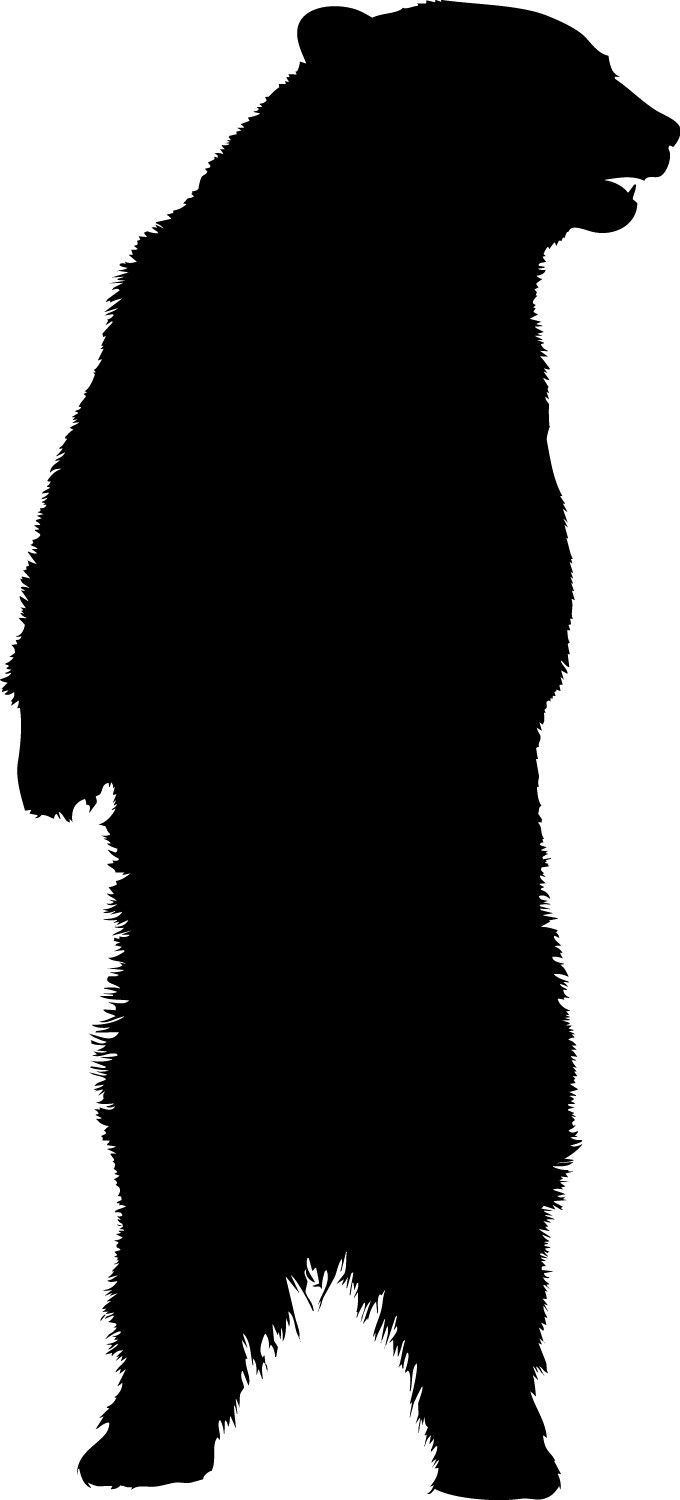 680x1500 Standing Bear Vinyl Decal Sizes Available