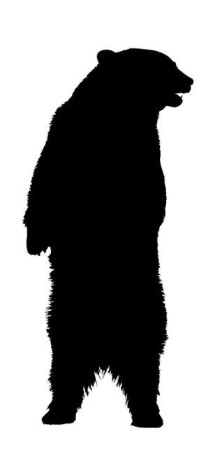 308x679 Standing Black Bear