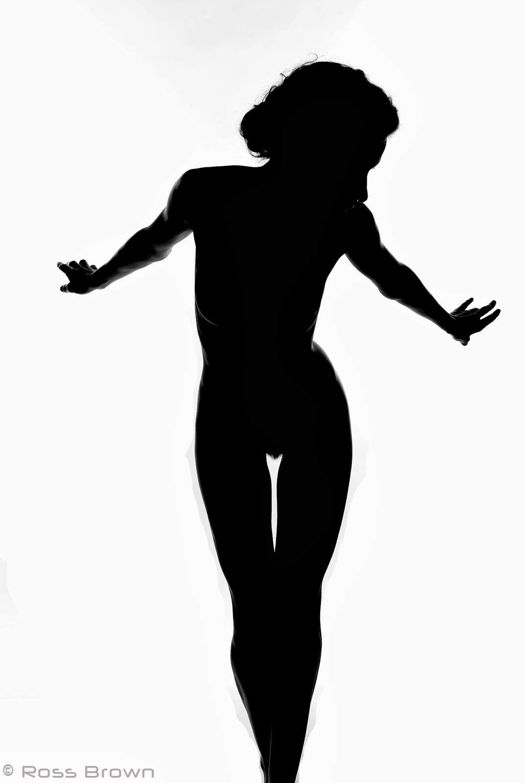 1072x1600 The Brown Knowser Wordless Wednesday Silhouettes