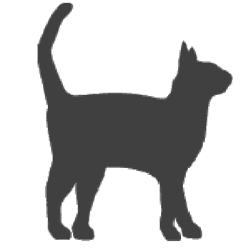 500x500 Fired Up Tiles