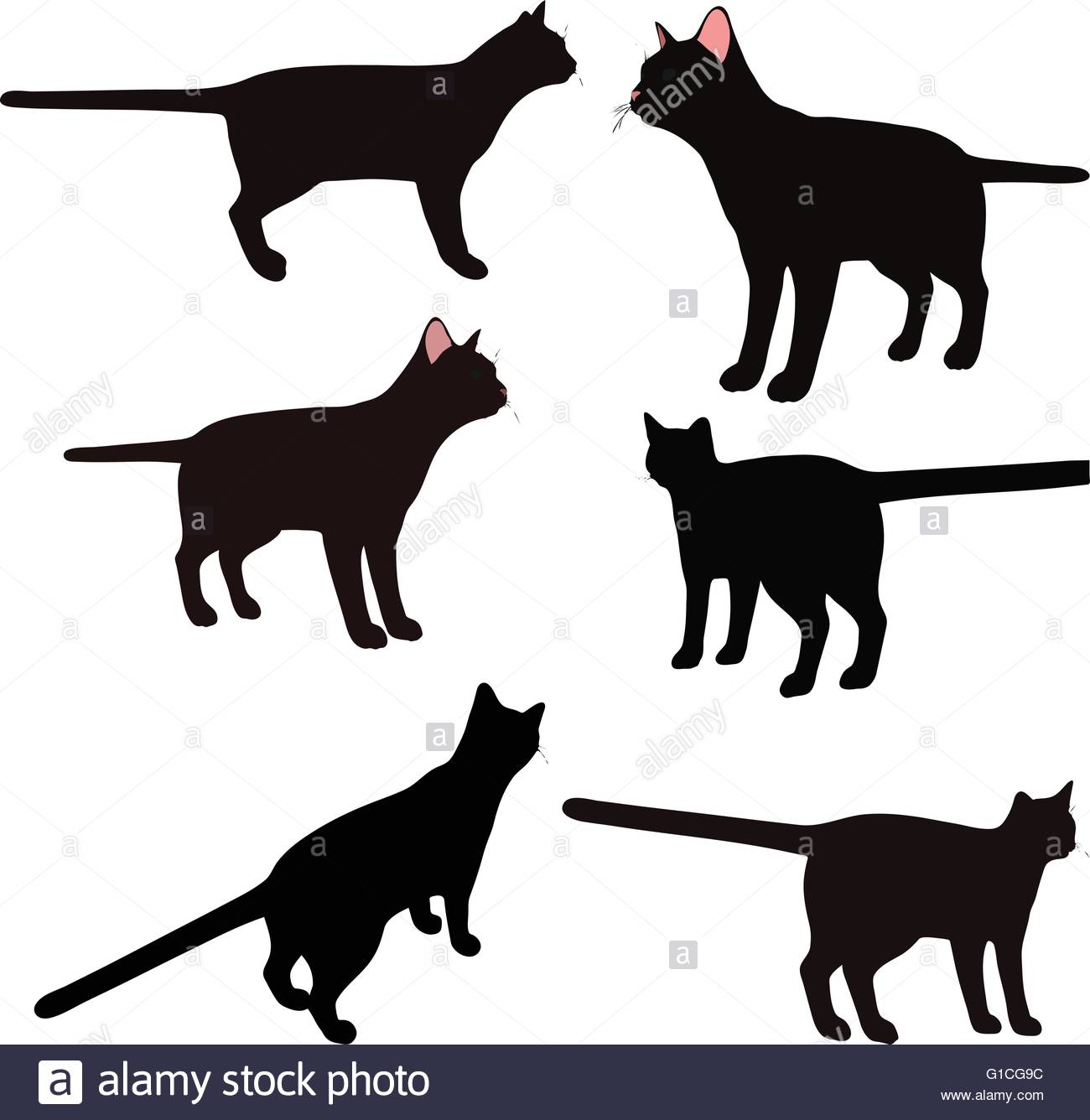 Standing Cat Silhouette at GetDrawings | Free download