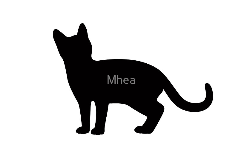 800x522 Cat Silhouette