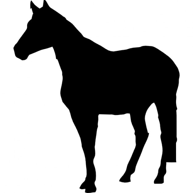 626x626 Horse Standing Black Silhouette Icons Free Download