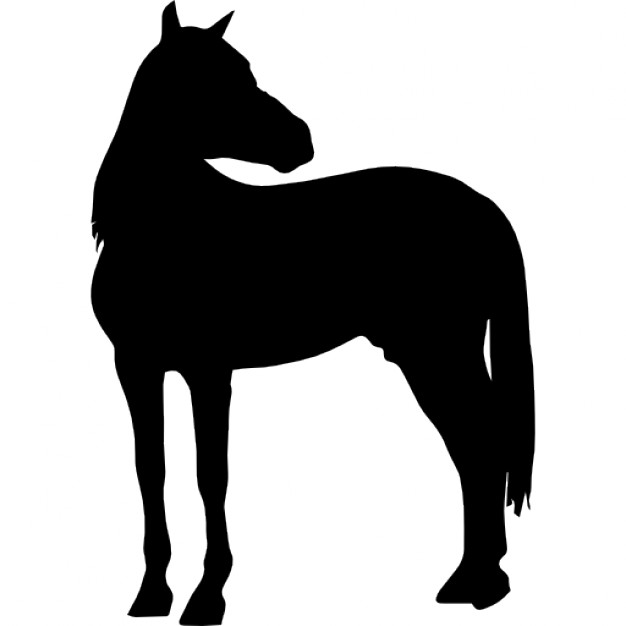 626x626 Horse Standing Black Silhouette With Head Turned Looking To Right
