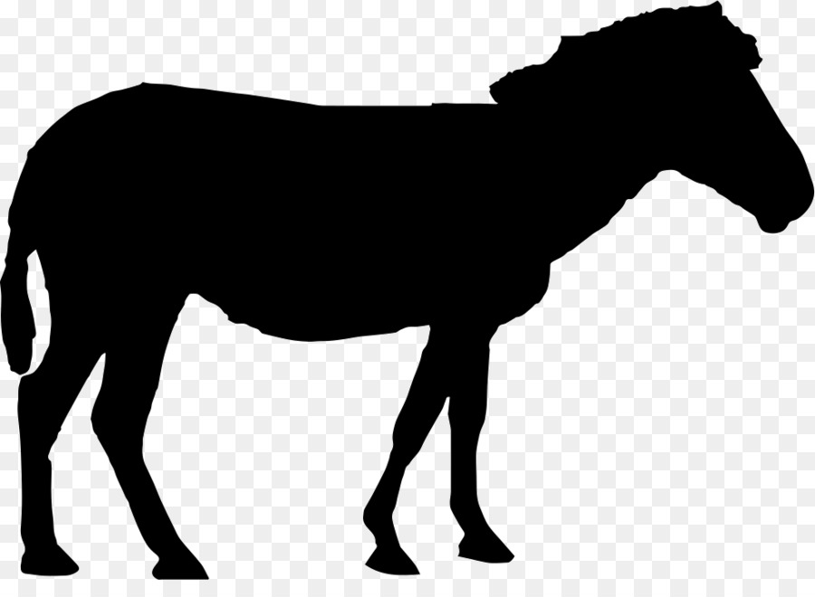 900x660 Mustang Standing Horse Silhouette