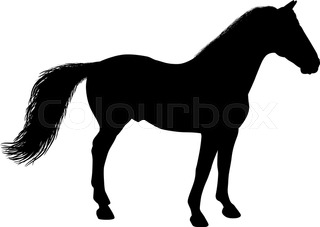 320x227 Silhouette Of A Standing Horse. There Is A Variant In A Vector