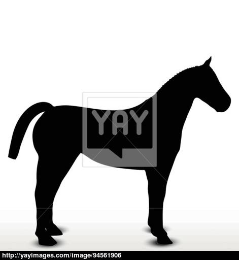 471x512 Horse Silhouette In Standing Still Position Vector